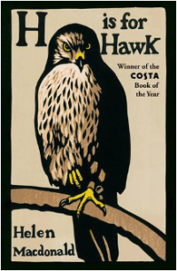 Hawk